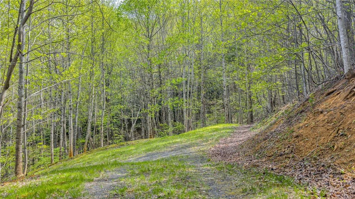 Image number 11 for the current listing