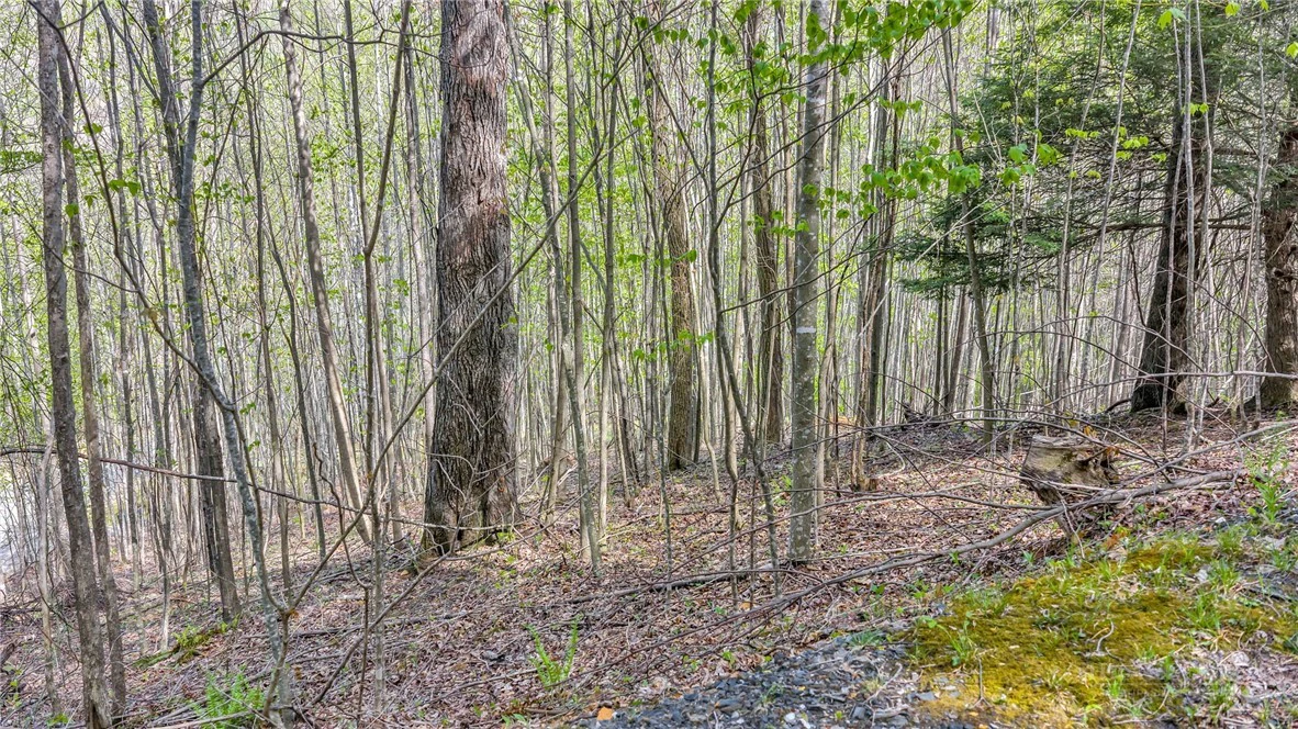 Image number 15 for the current listing