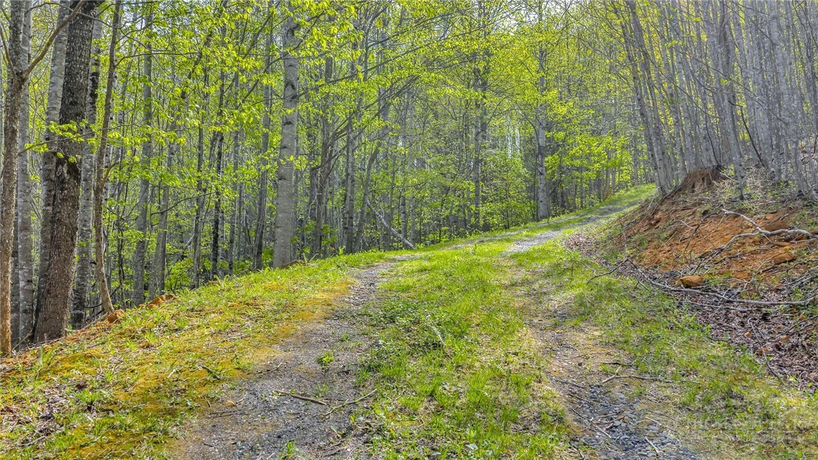 Image number 6 for the current listing