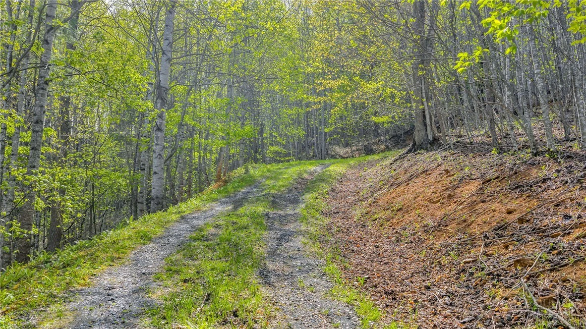 Image number 5 for the current listing
