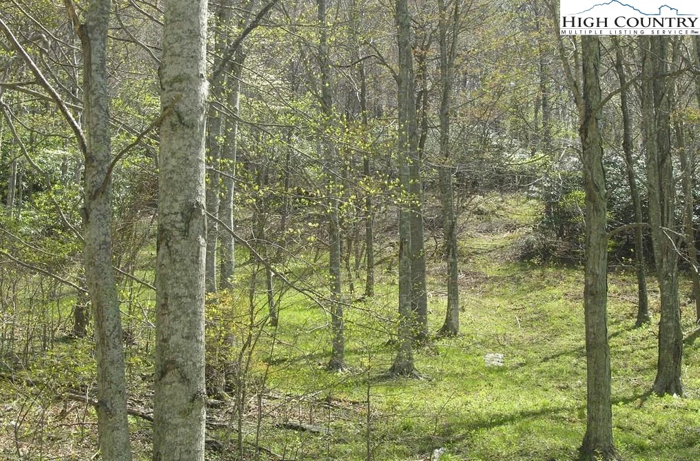 Image number 1 for the current listing