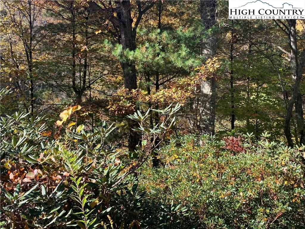 Image number 7 for the current listing