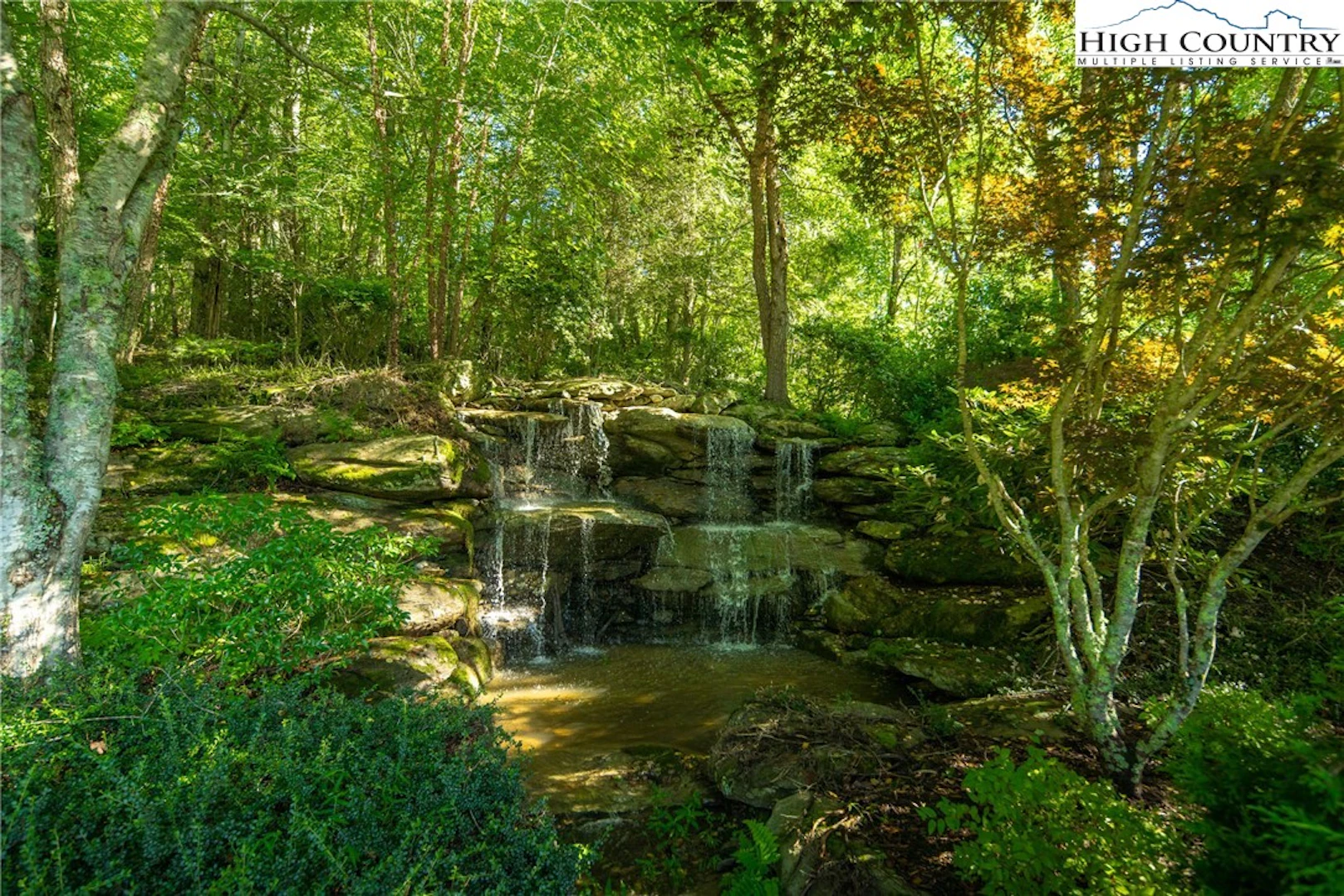 Image number 2 for the current listing
