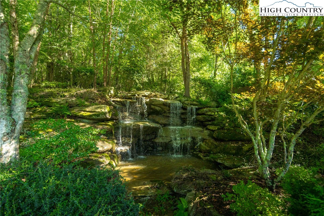 Image number 2 for the current listing