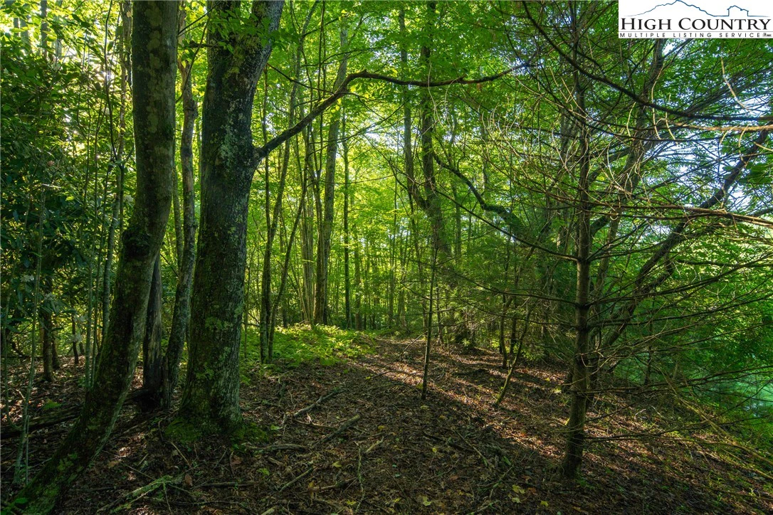 Image number 18 for the current listing