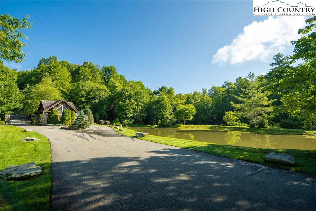 Image number 4 for the current listing