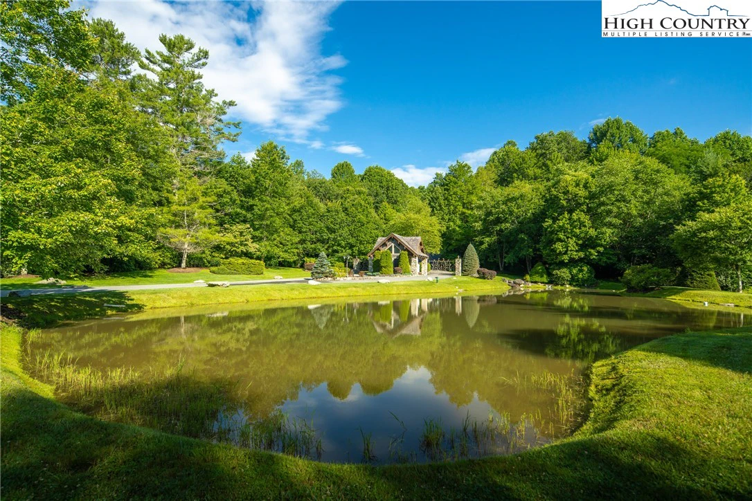 Image number 3 for the current listing