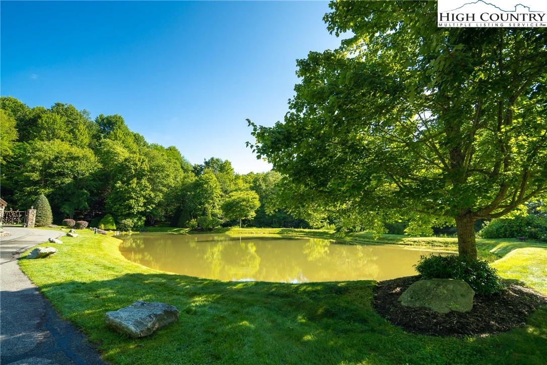 Image number 5 for the current listing