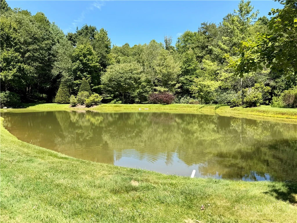 Image number 11 for the current listing