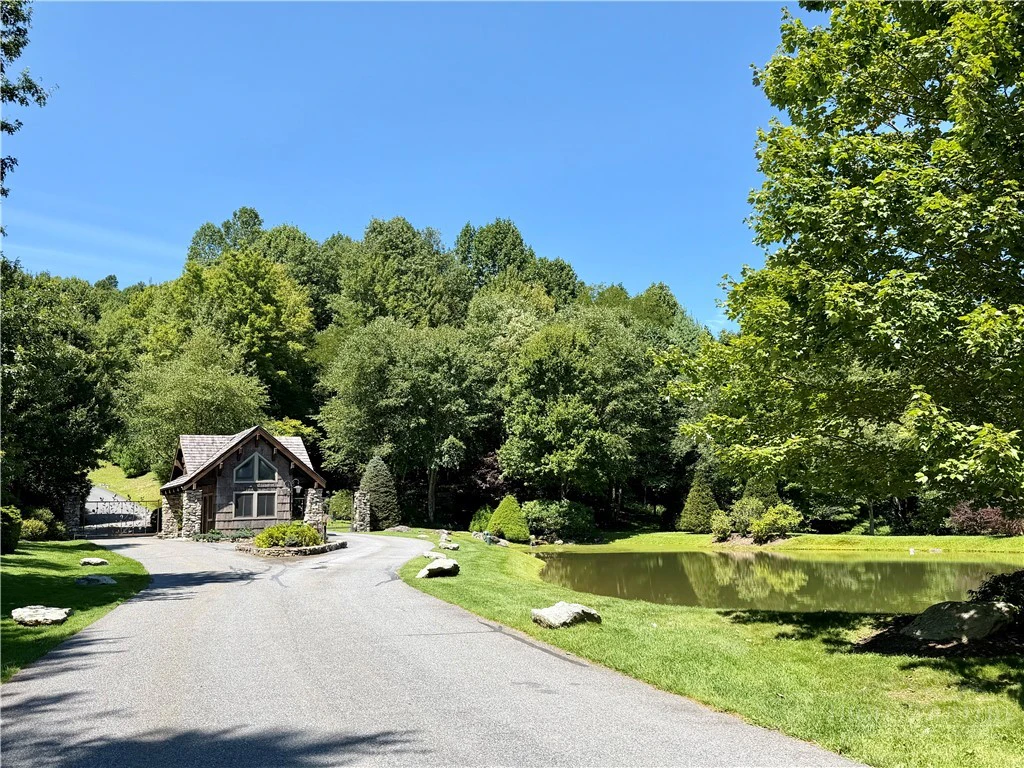 Image number 12 for the current listing