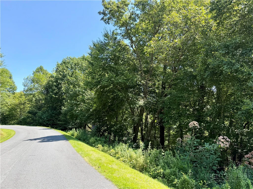 Image number 3 for the current listing