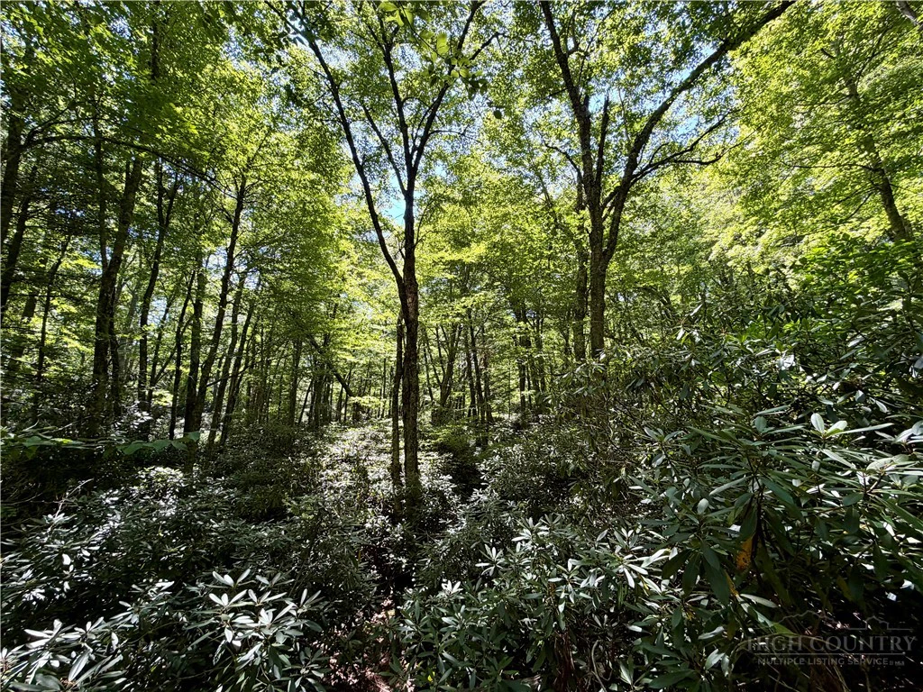 Image number 2 for the current listing