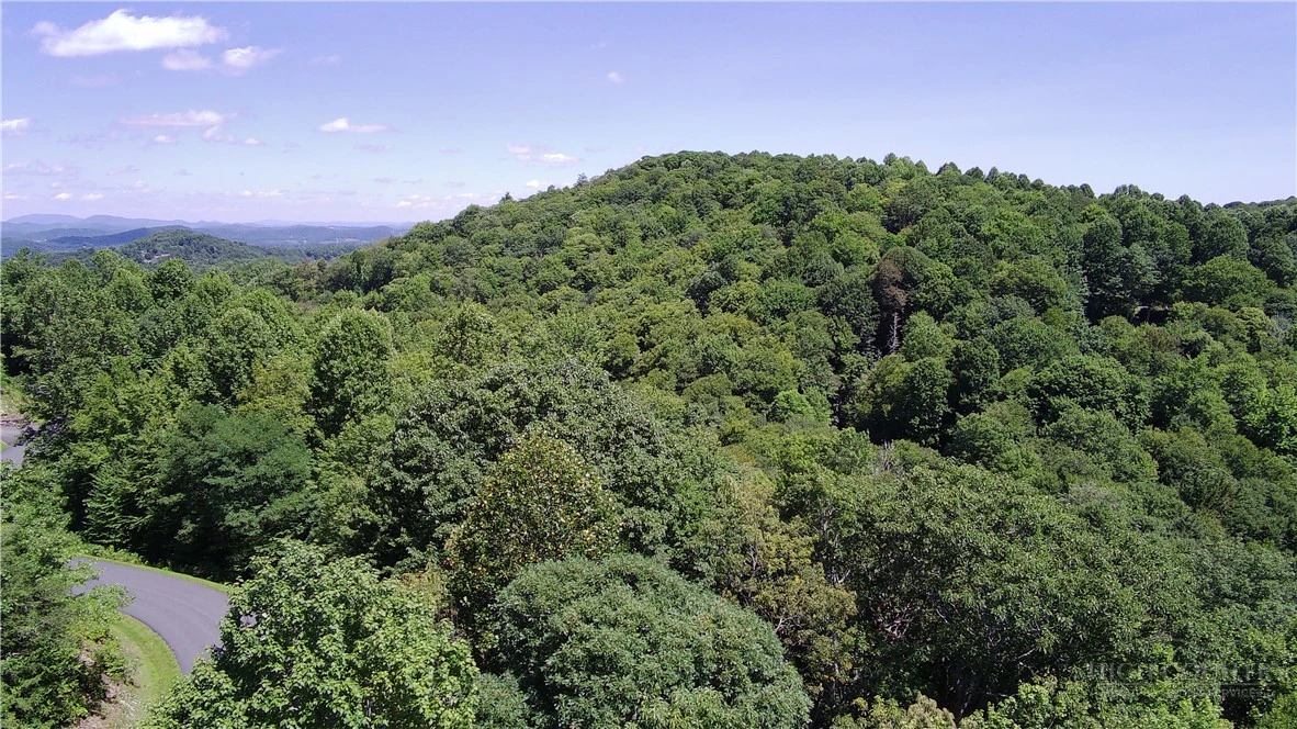 Image number 1 for the current listing