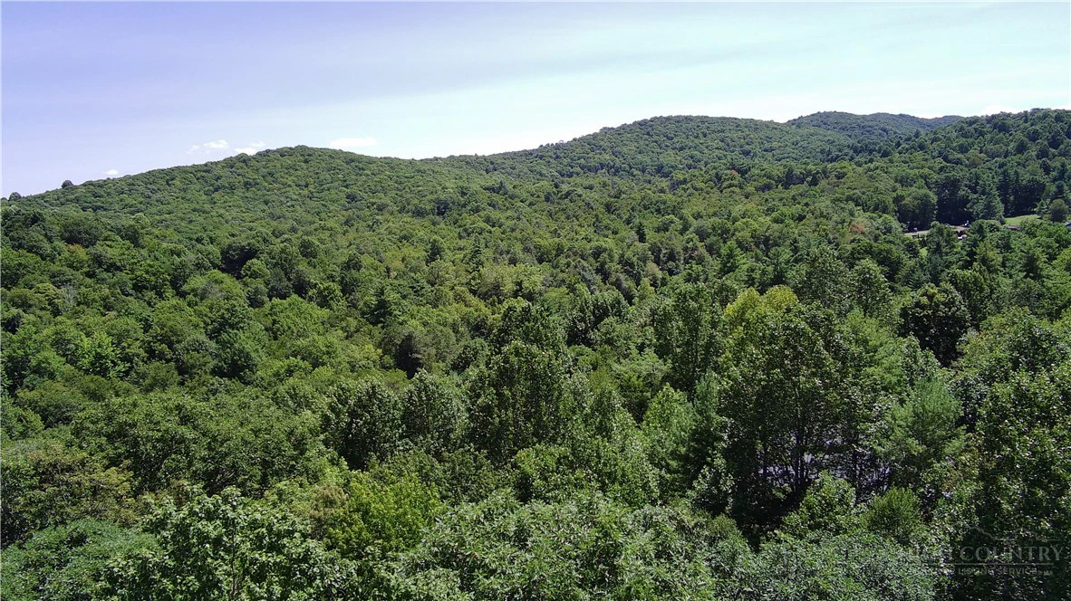 Image number 14 for the current listing