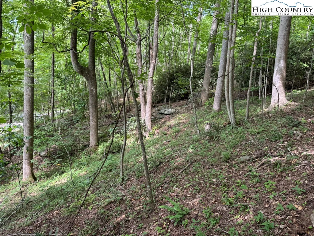 Image number 1 for the current listing