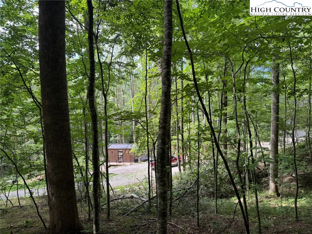 Image number 9 for the current listing