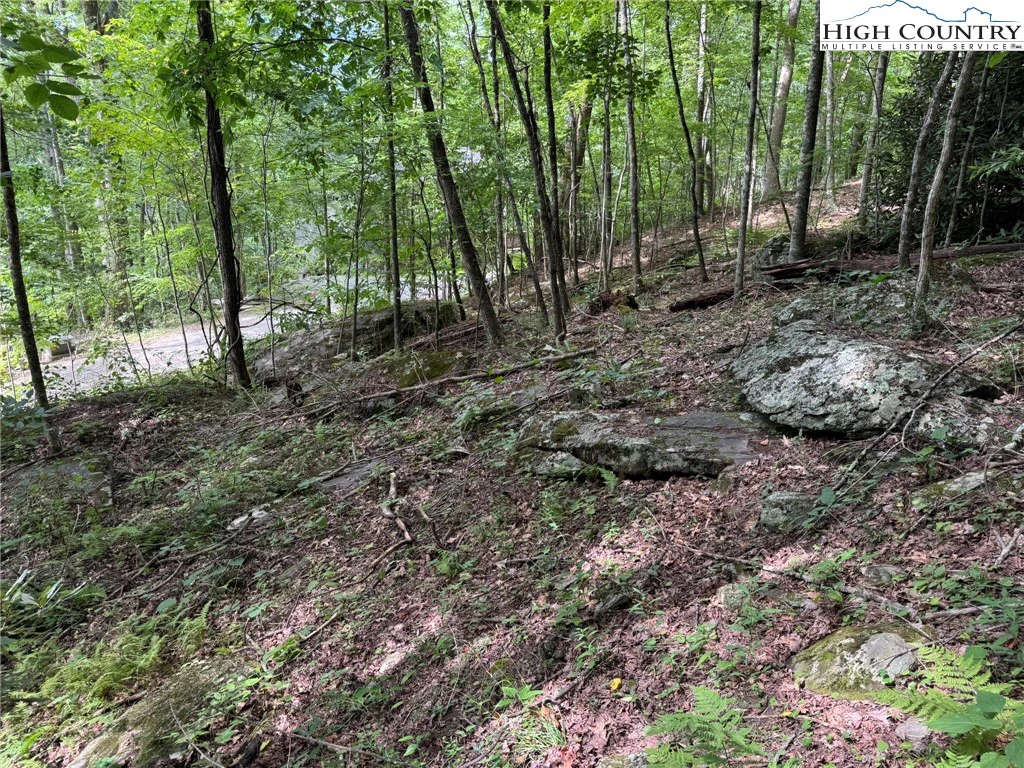 Image number 6 for the current listing