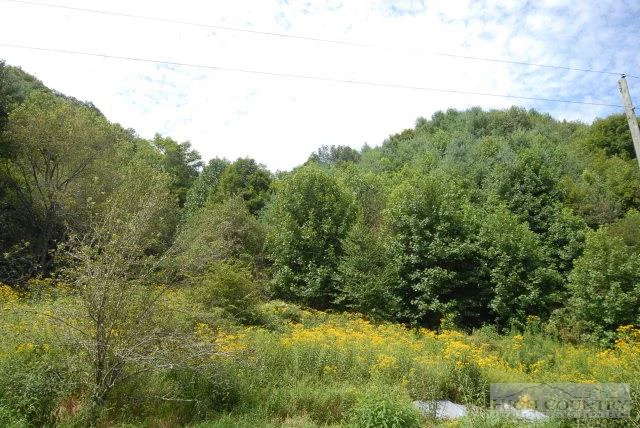 Image number 1 for the current listing