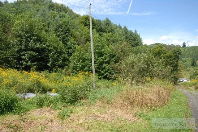 Image number 3 for the current listing