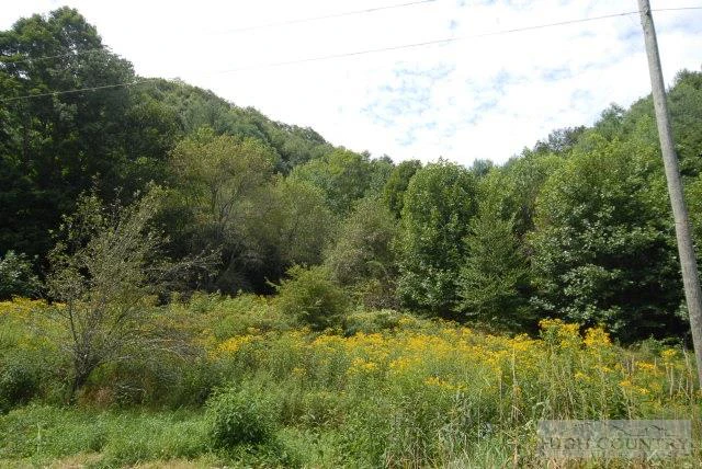 Image number 4 for the current listing