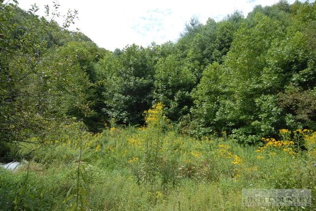 Image number 5 for the current listing