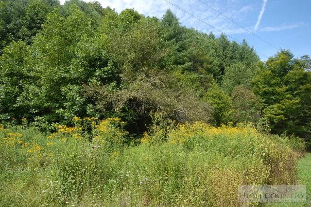 Image number 6 for the current listing