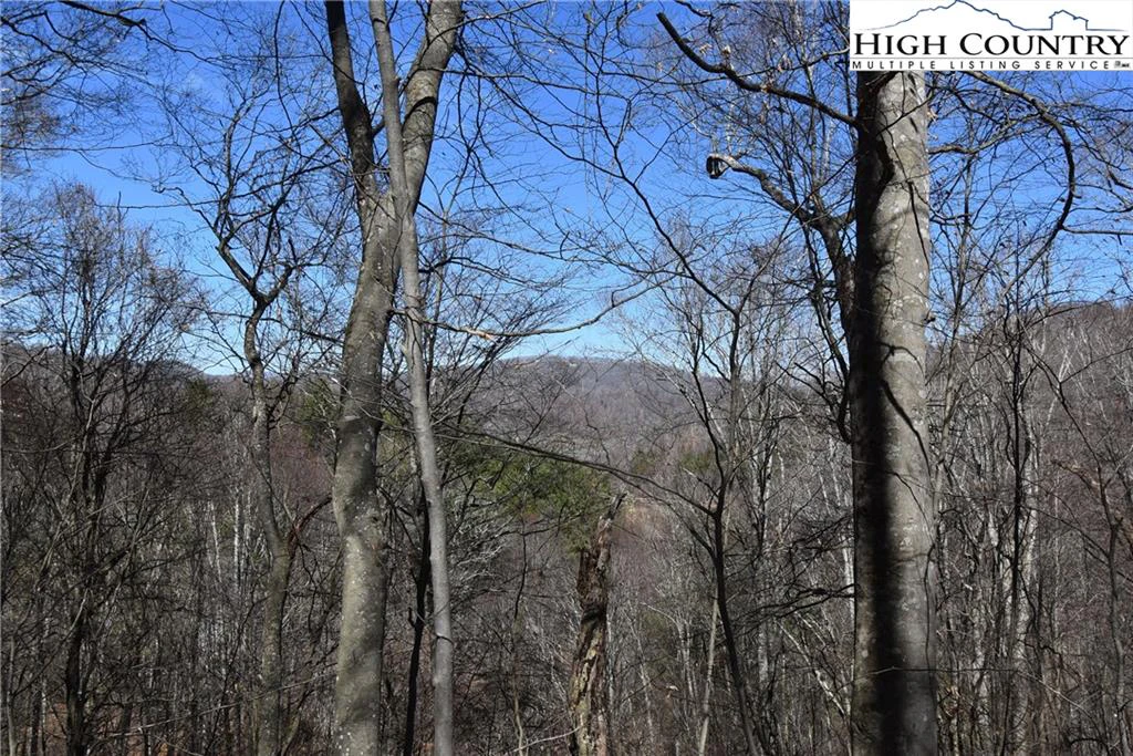 Image number 1 for the current listing