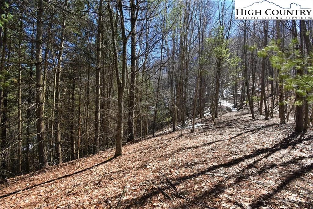 Image number 3 for the current listing