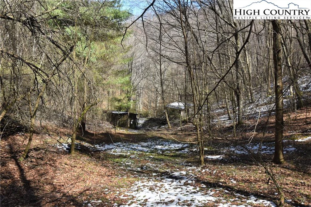 Image number 7 for the current listing