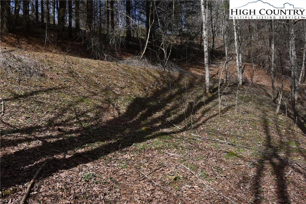 Image number 16 for the current listing