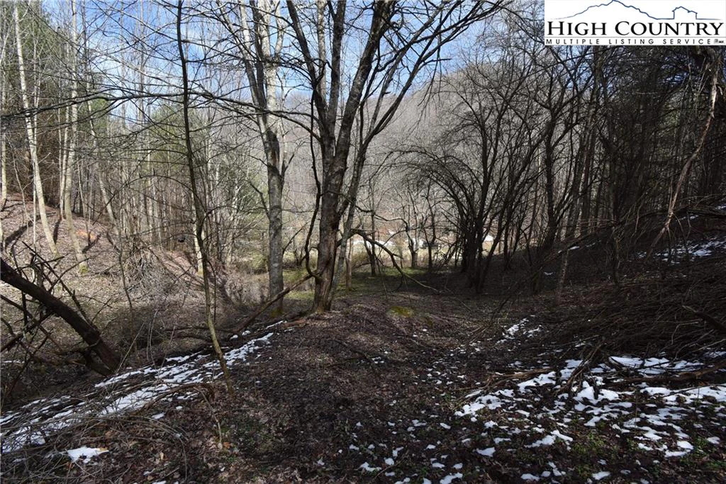 Image number 17 for the current listing