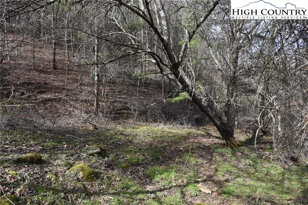 Image number 18 for the current listing