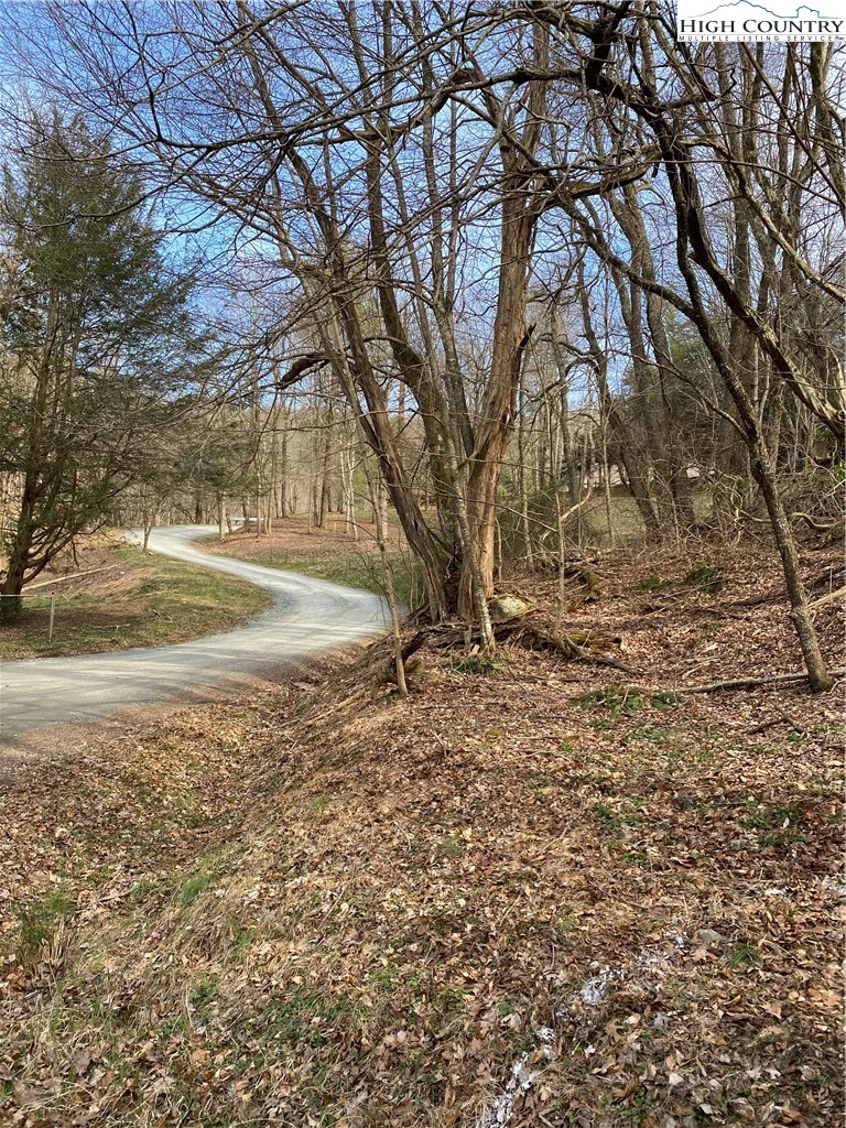 Image number 1 for the current listing