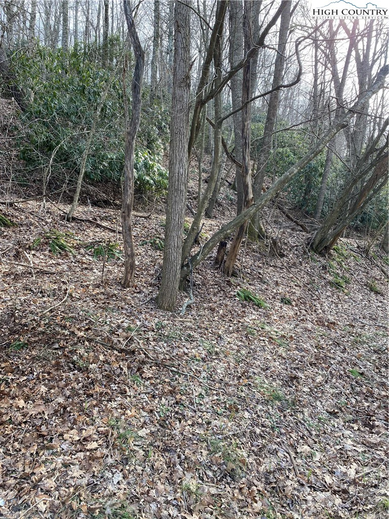 Image number 12 for the current listing