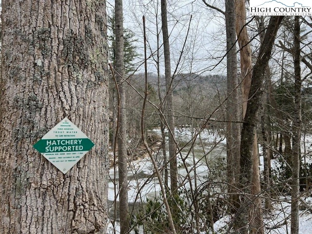 Image number 6 for the current listing