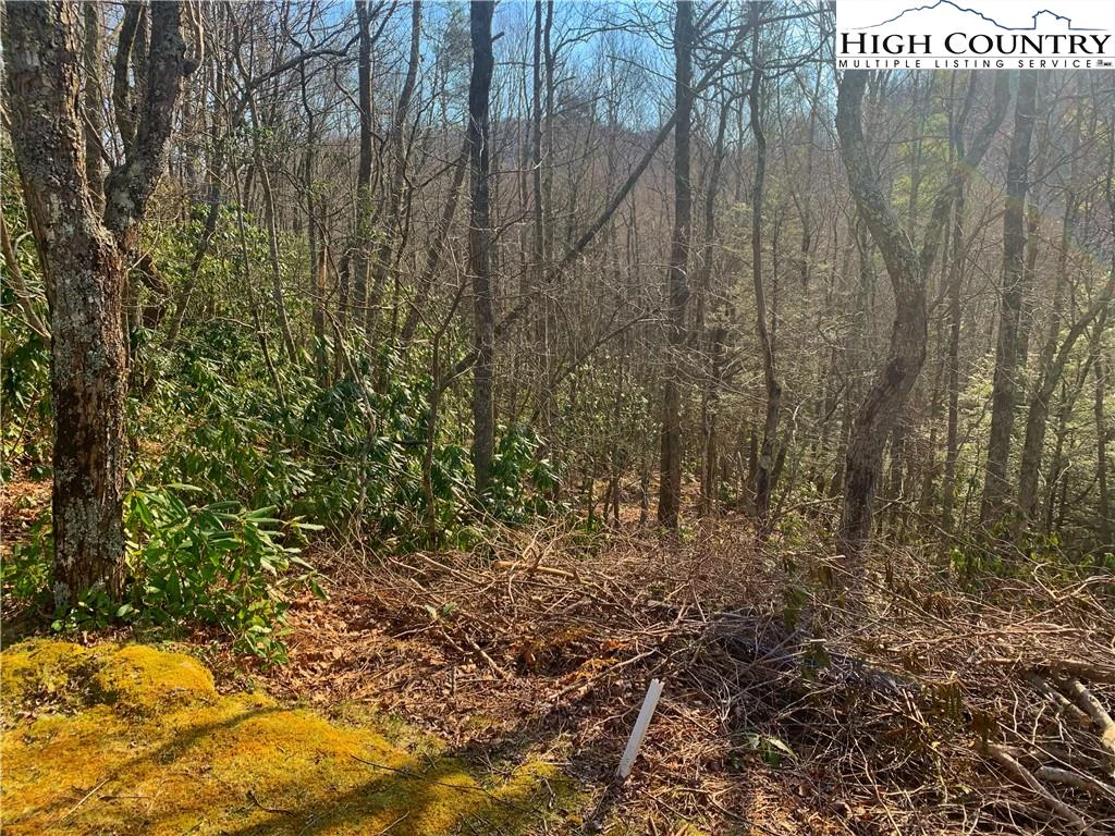 Image number 3 for the current listing