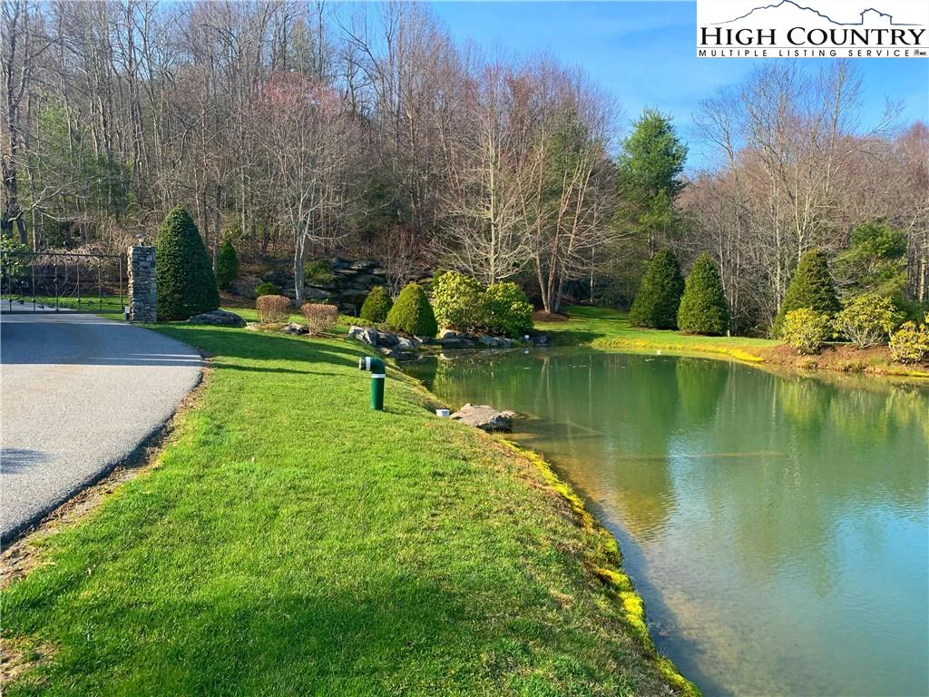 Image number 5 for the current listing