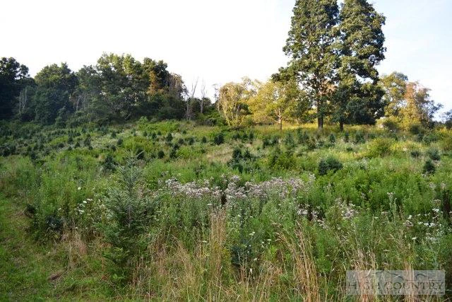 Image number 5 for the current listing