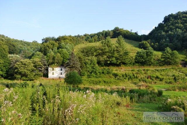 Image number 6 for the current listing