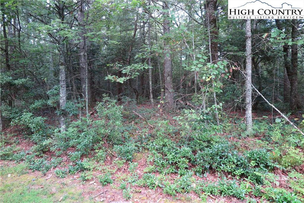 Image number 1 for the current listing