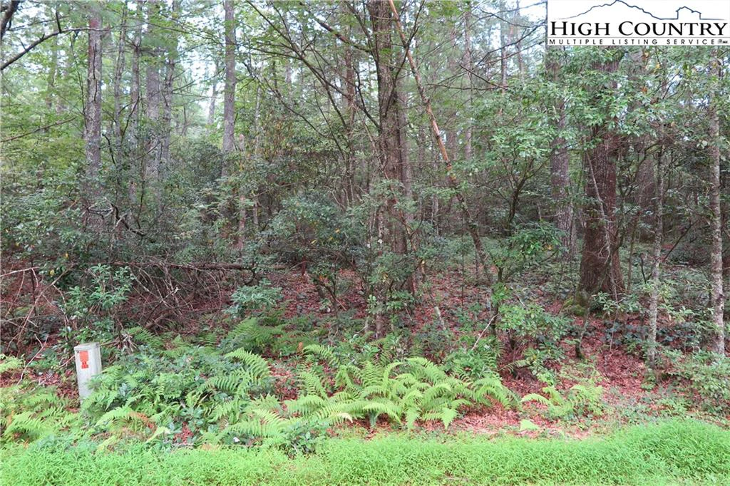 Image number 3 for the current listing