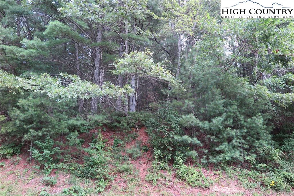 Image number 4 for the current listing