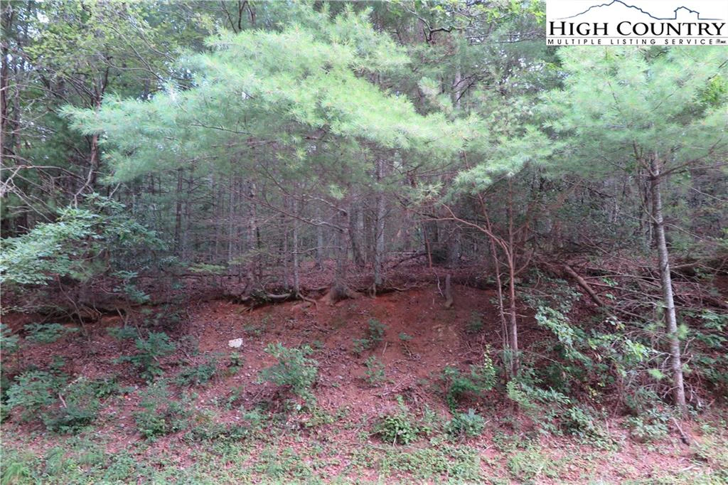 Image number 5 for the current listing