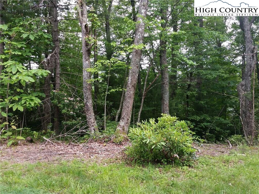 Image number 1 for the current listing