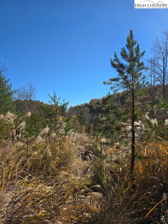 Image number 1 for the current listing