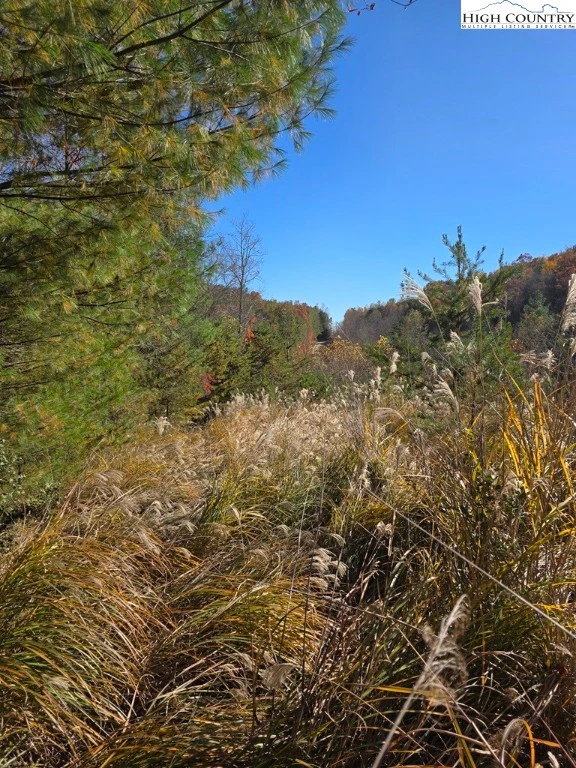Image number 15 for the current listing