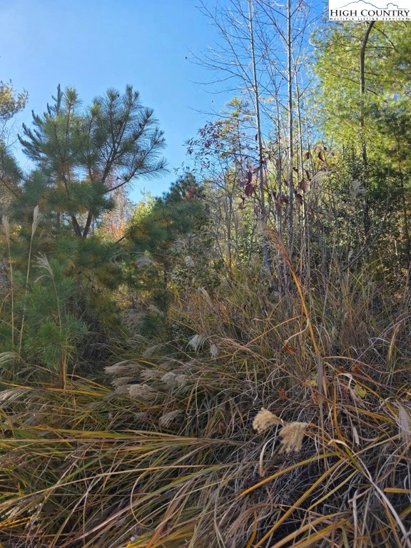 Image number 11 for the current listing