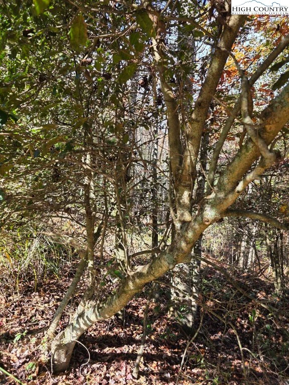 Image number 10 for the current listing