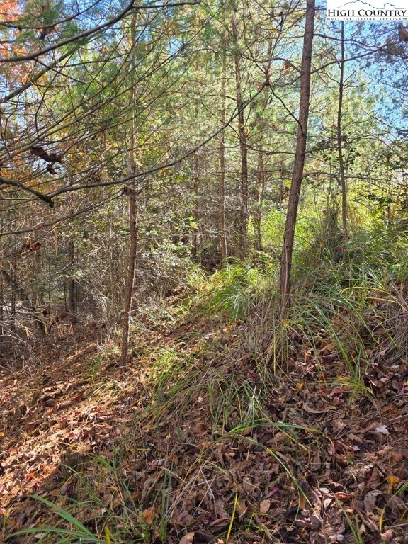 Image number 9 for the current listing