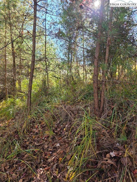 Image number 8 for the current listing